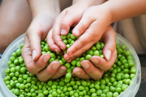 Read more about the article Plant Protein vs Whey: Which One Fits Daily Nutrition?